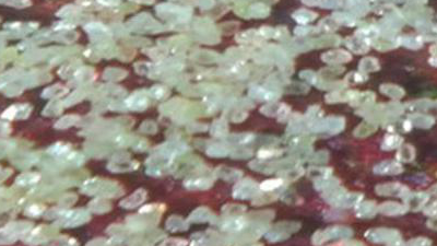 制造金剛石微粉