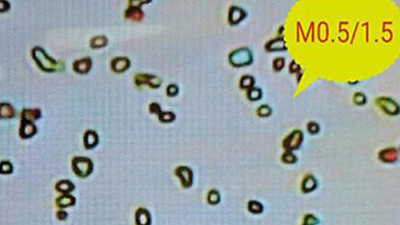 金剛石線切割的原理和特點