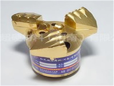 金剛石復(fù)合片鉆頭